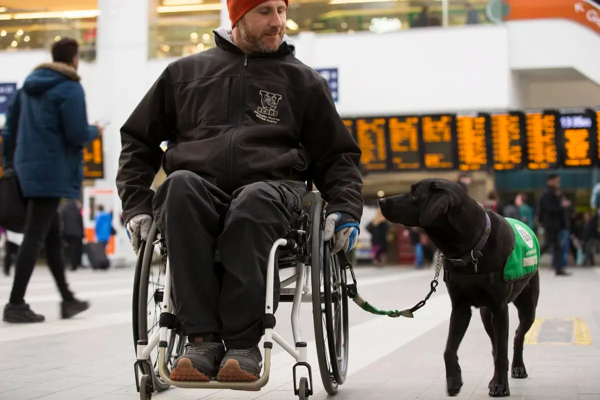 Man in wheelchair in train station with black labrador walking alongside