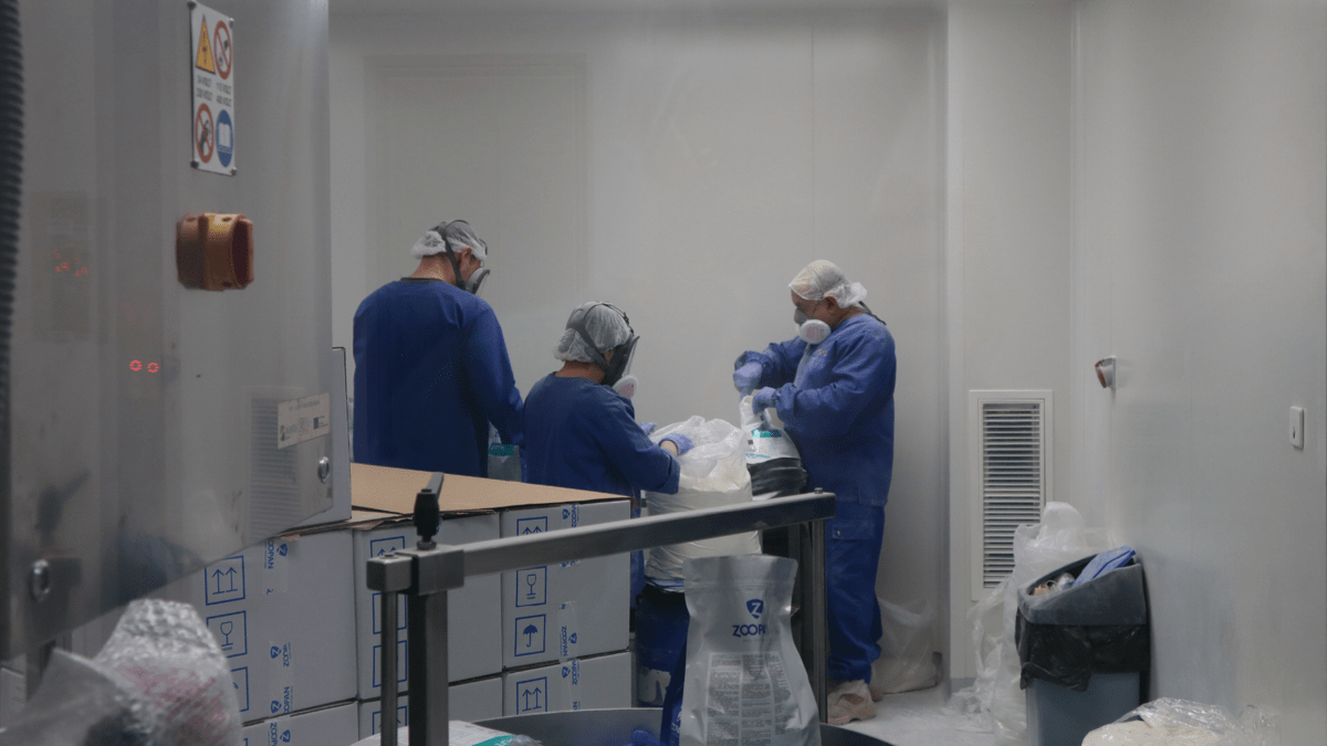 Equipa de trabalho Zoopan