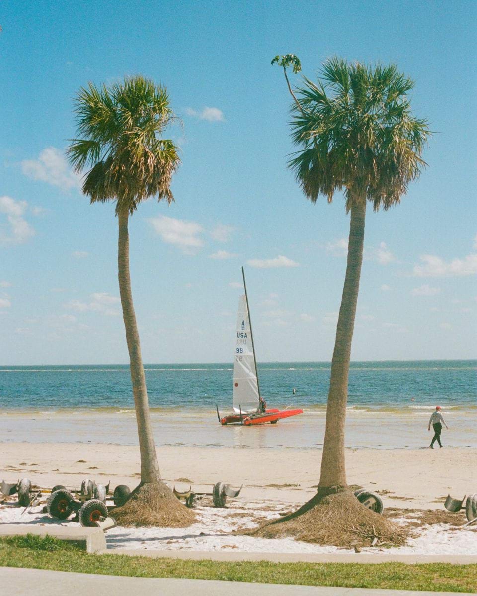 Two palm trees on a beach with a sailboat