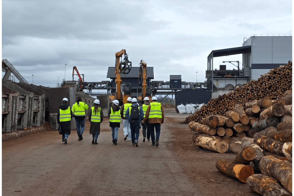 TMV Competence Center  komandos gyvenimas iš arti, šventės ir užsiėmimai