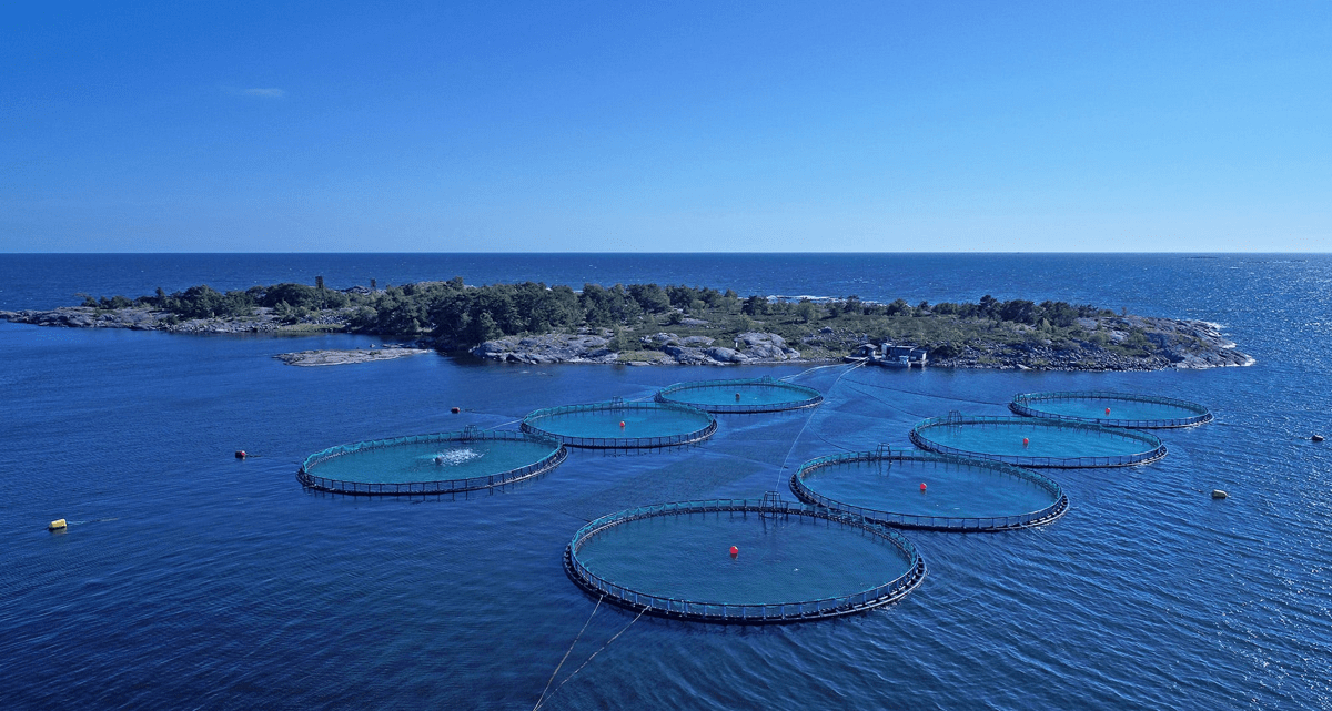 nordictrout-fish-farm-aland-island-air7.jpg