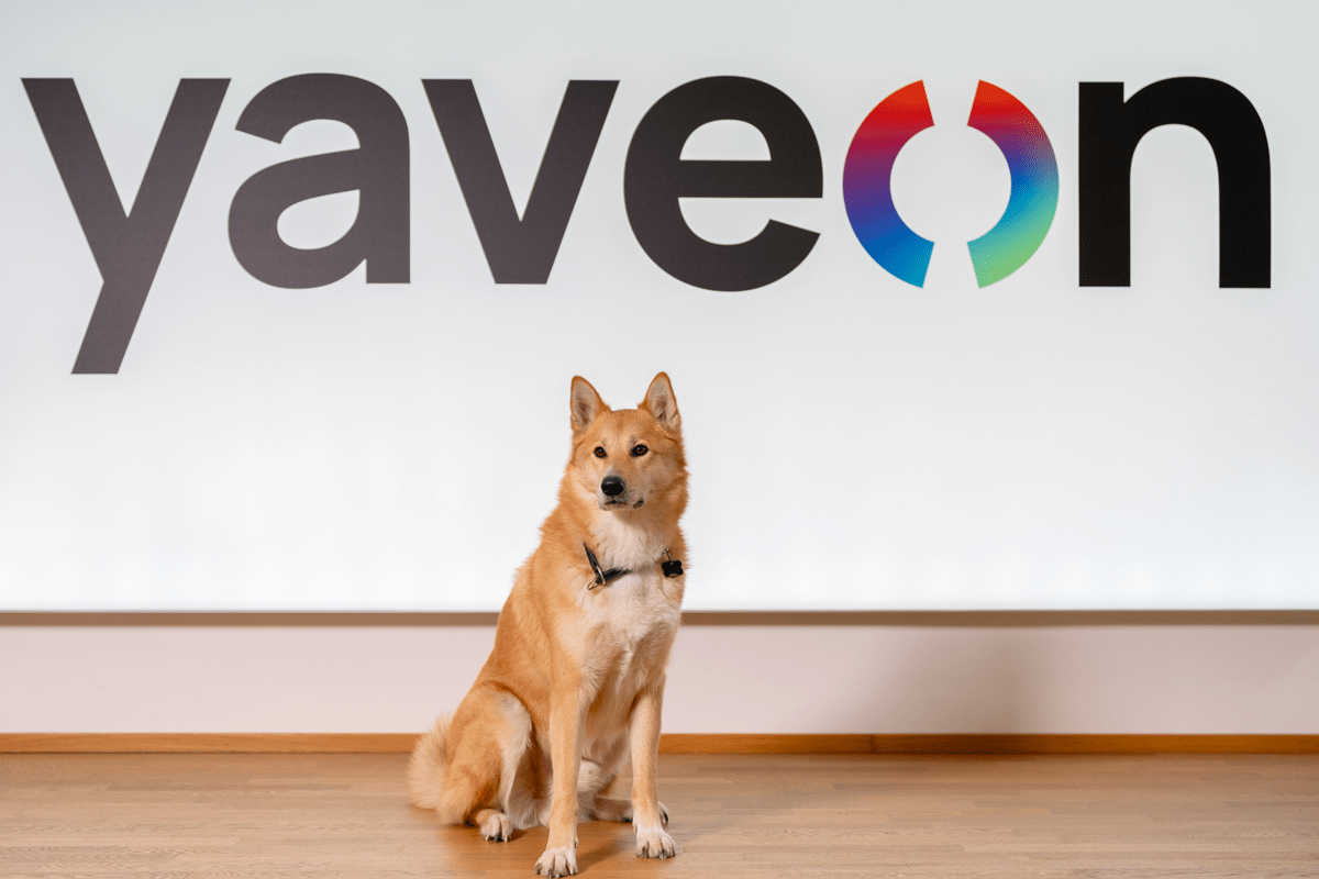 Hund vor Yaveon Logo