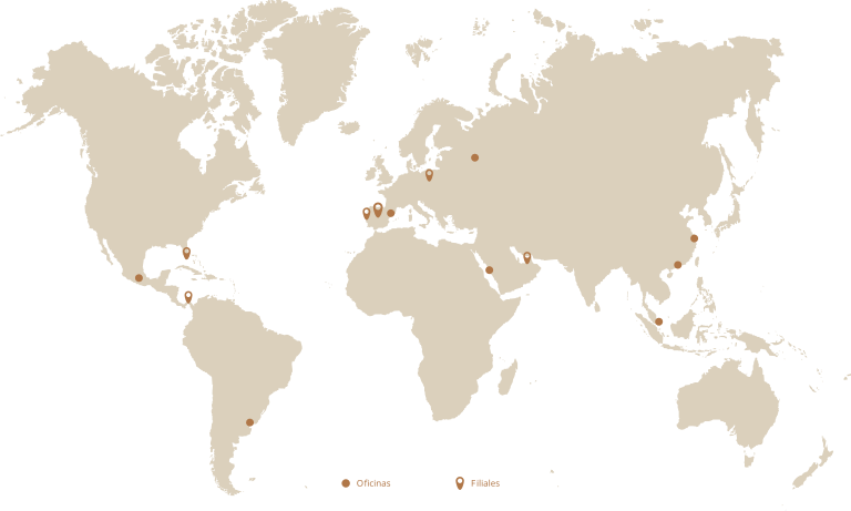 map_filiales_es 1.svg