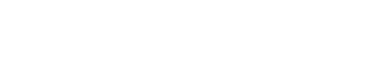 Logo__Connect_Bus_White.png