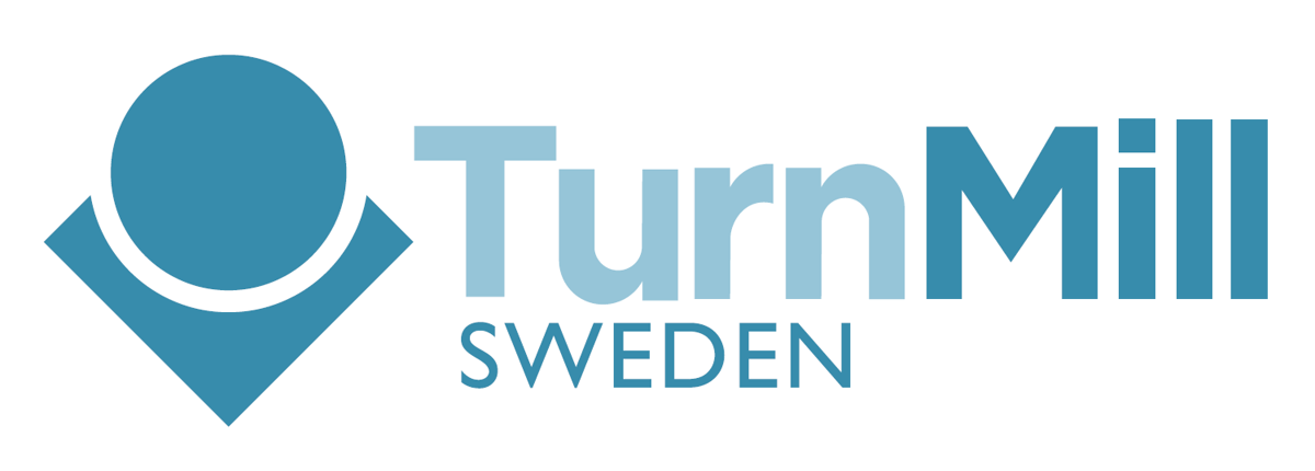 Skärmbild 2025-10-13 155828.png