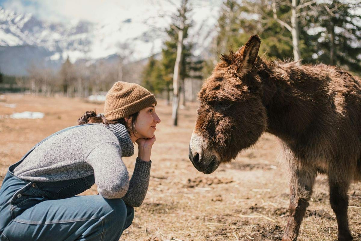 a woman kneeling down next to a donkey