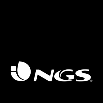 logo ngs.jpg