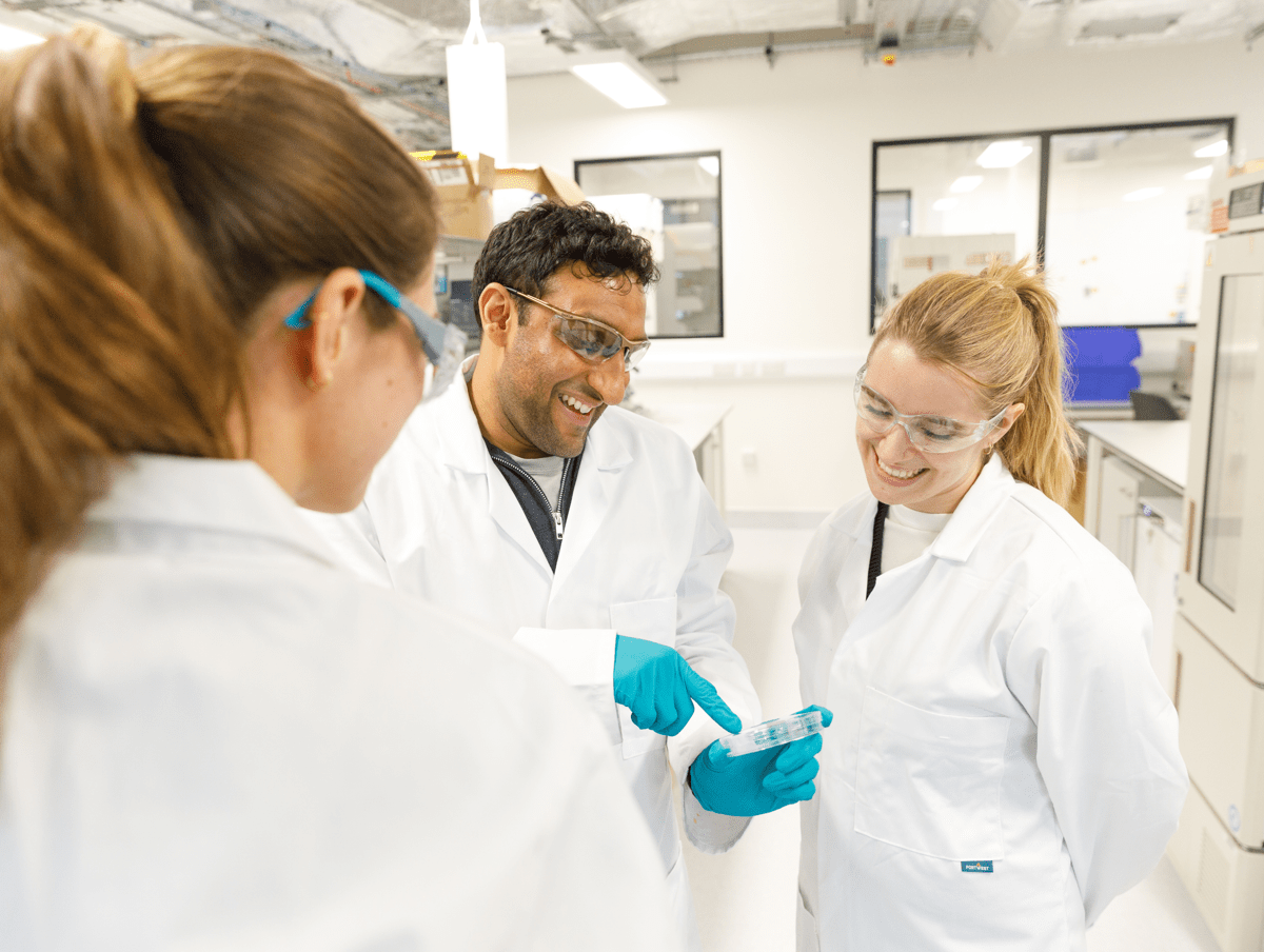 scientists discussing over a sample