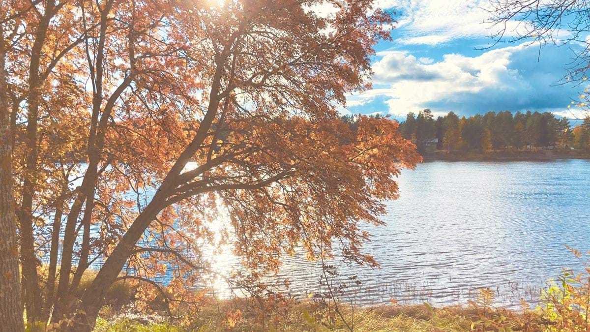 a lake surrounded by trees with a sky background