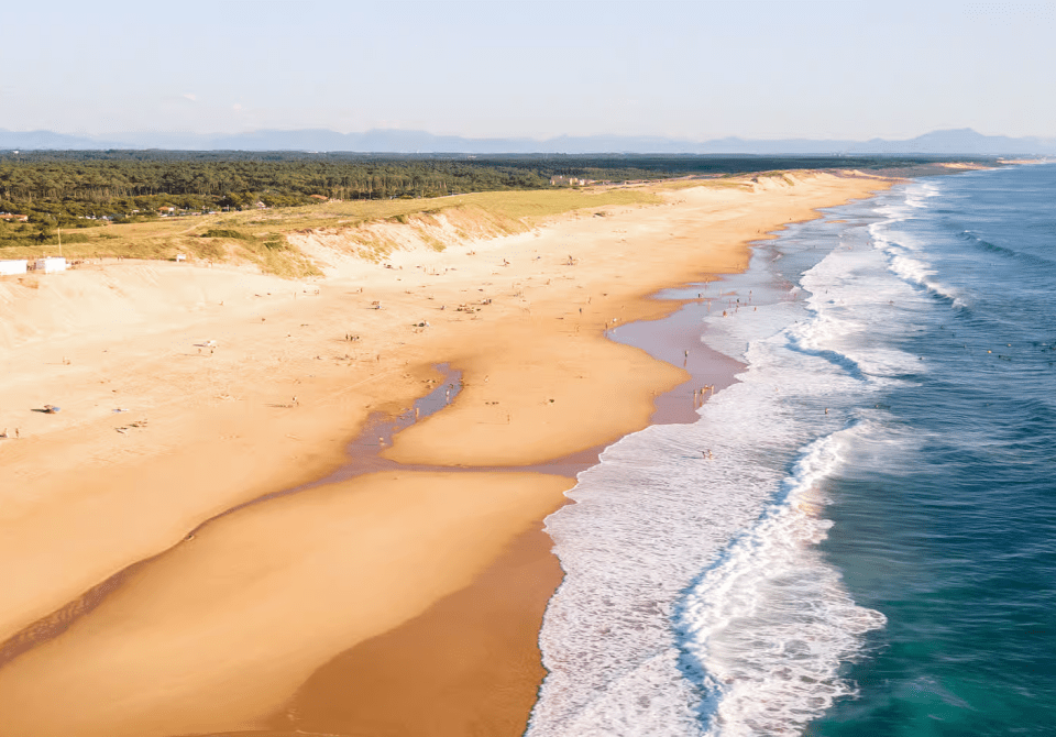 Vue d'une longue plage de sable doré bordée par l'océan.