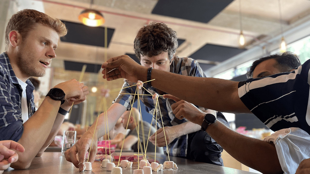 Panaseer team building