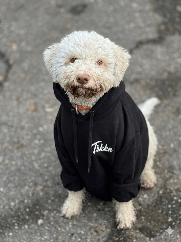 AI generated picture of a dog with a hoodie on