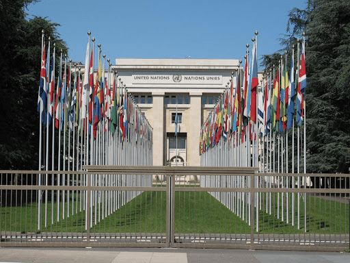 secteur organisations internationales suisse