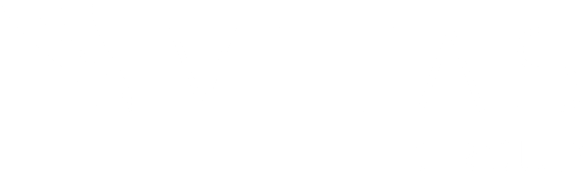 vitas group logo white.png