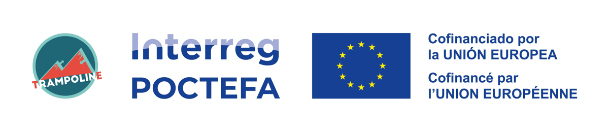 Logo Poctefa+Trampoline.jpg
