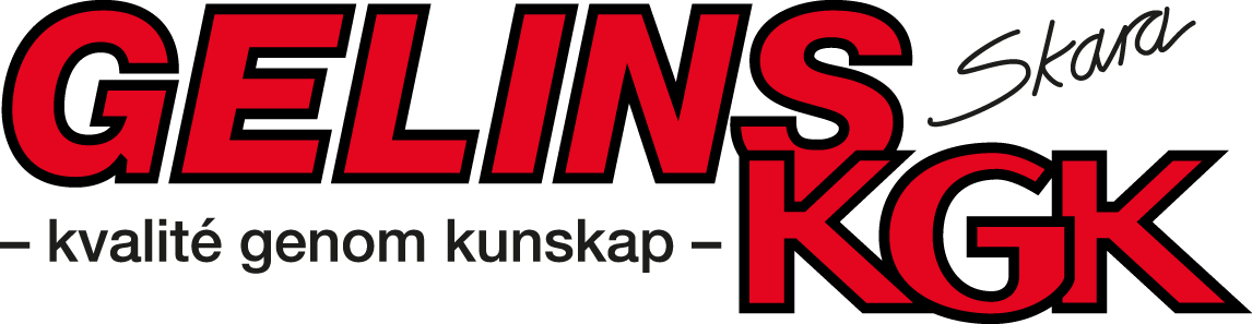 Gelin Logo.png Rekrytering Försäljningschef Chefer Specialister Nexer Recruit Amanda Eksell Stefan Larsson