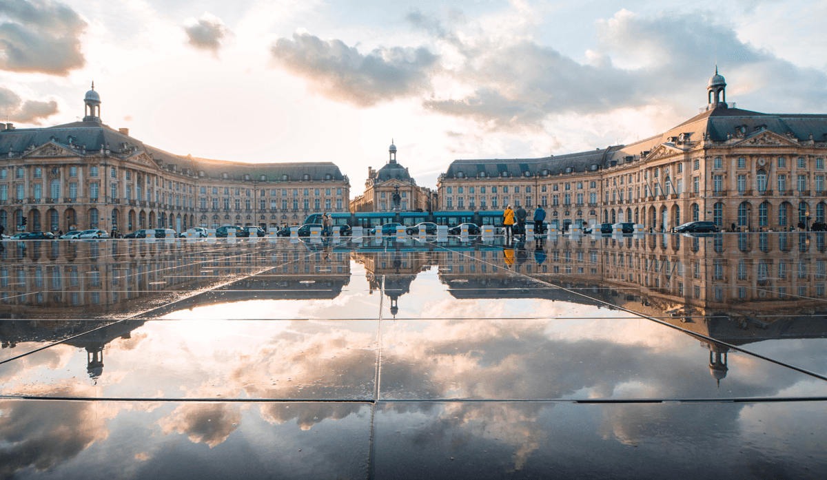 Site recrutement Olifan - Olifan
