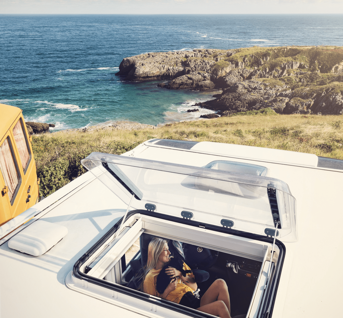 Dometic Roof window heki dog2.jpg