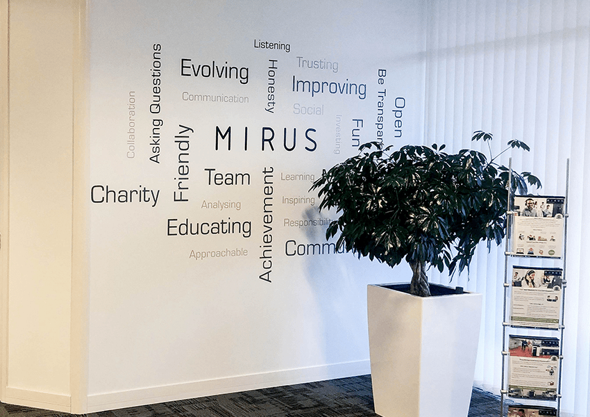 Careers at Mirus IT - Mirus IT