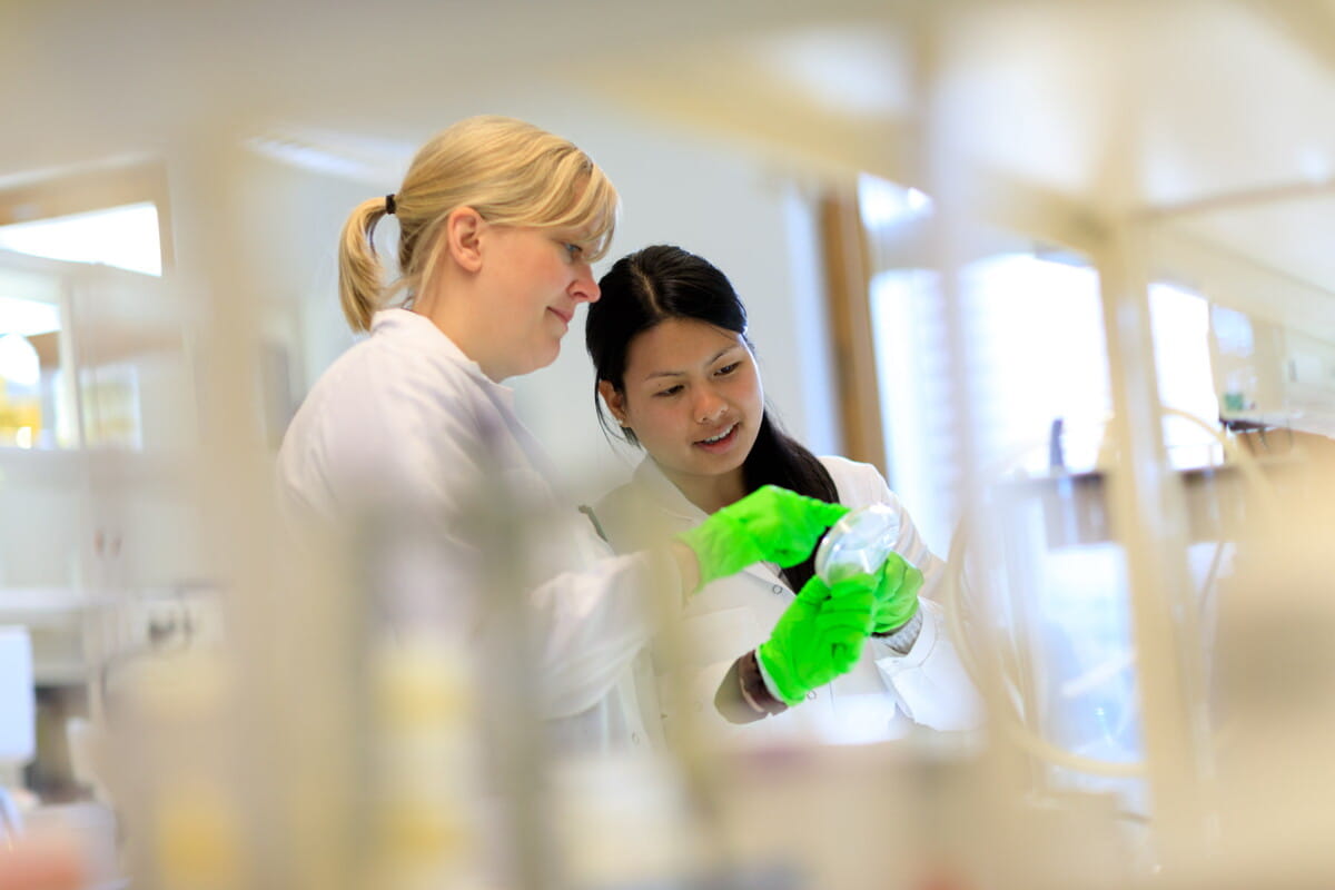 BioInvent – Connect