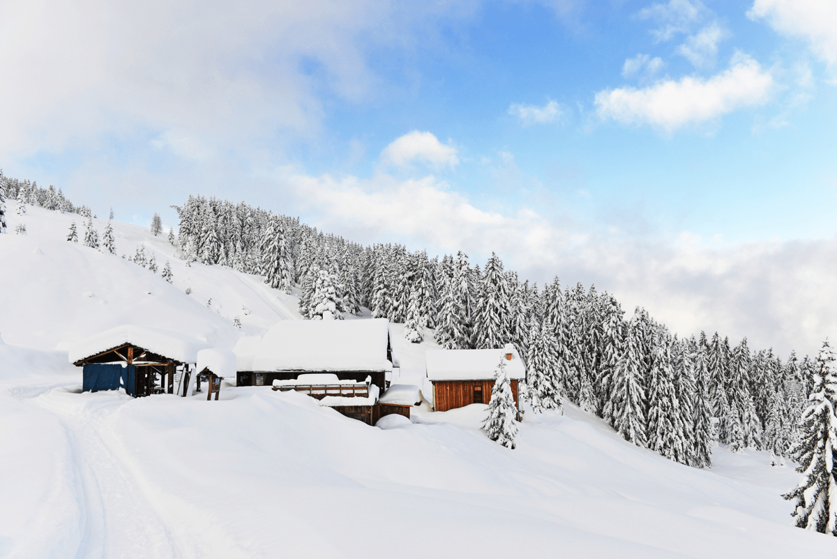 refuge_DSC_4880.jpg