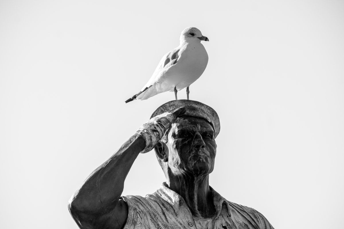 a bird sitting on a statue