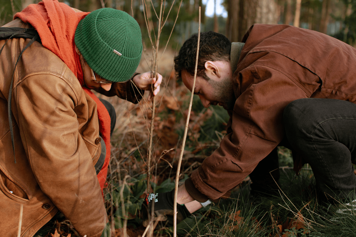 Sustainability at MR MARVIS