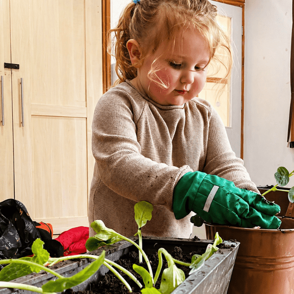 Child Gardening indoors at nursery