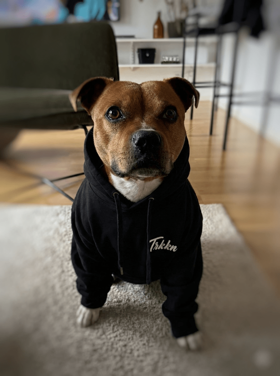 AI generated picture of a dog with a hoodie on