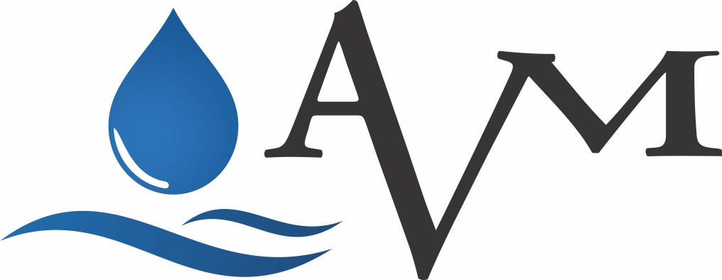 AVM Valves Full Logo.jpg