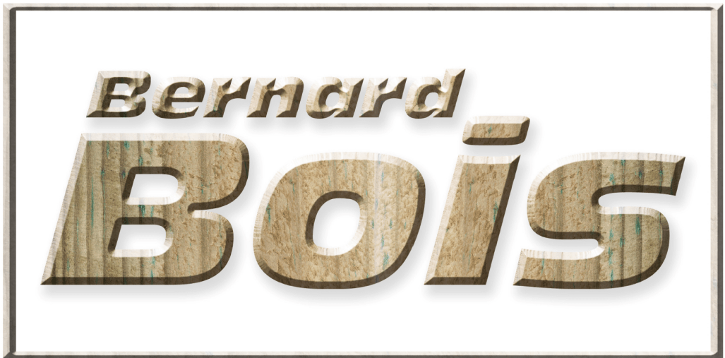 LOGO BERNARD BOIS.png