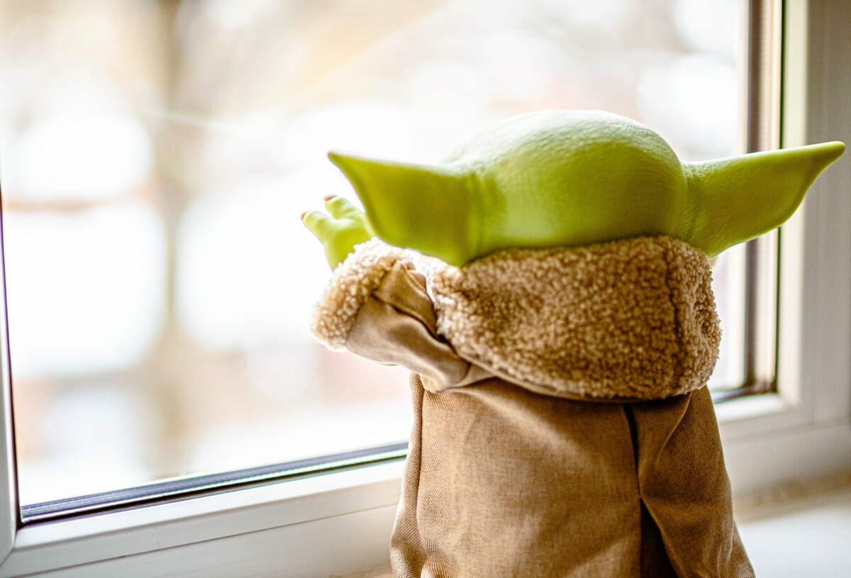 green frog plush toy on brown textile