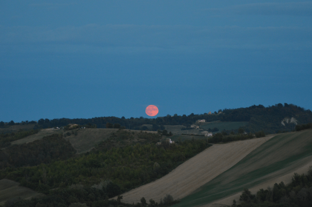 pink moon, dark blue background