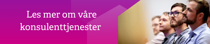 Konsulenttjenester.png