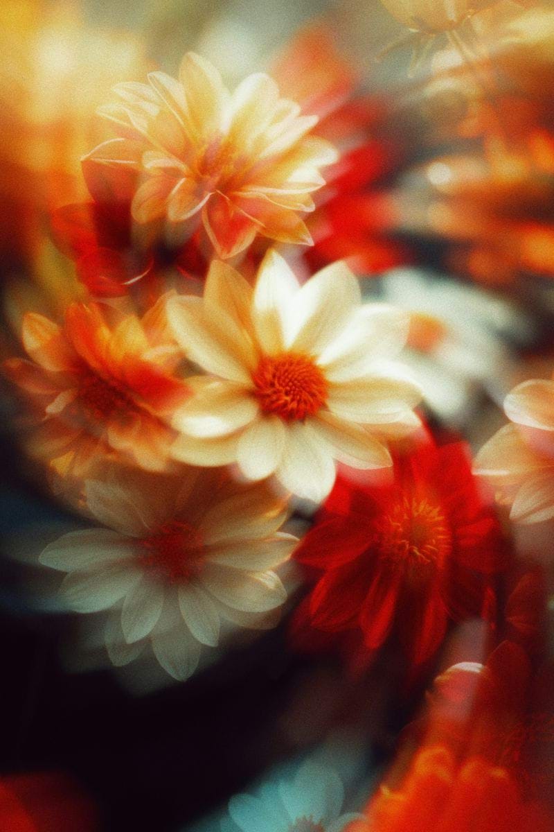 A blurry photo of flowers in a vase