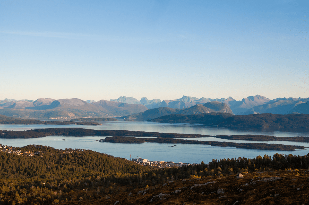 molde-nofence