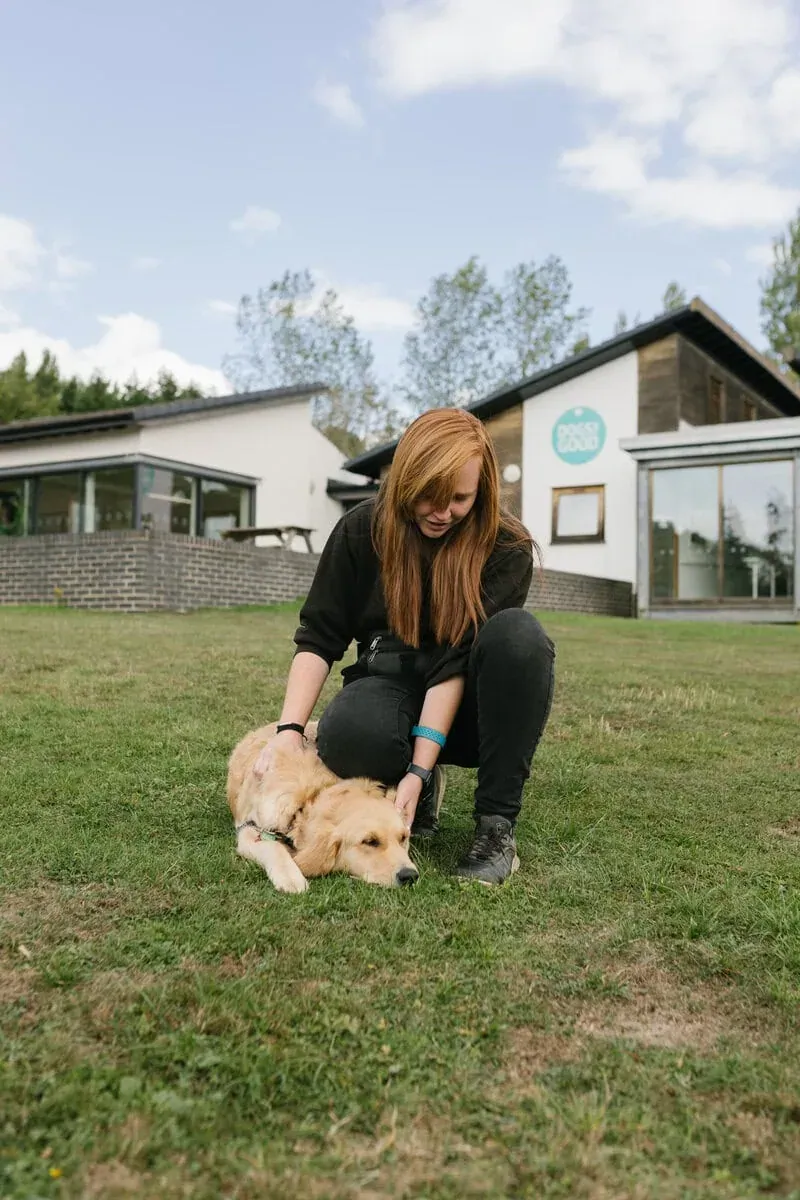 Trainer stroking dog in training on grass outside Dogs for Good training centre
