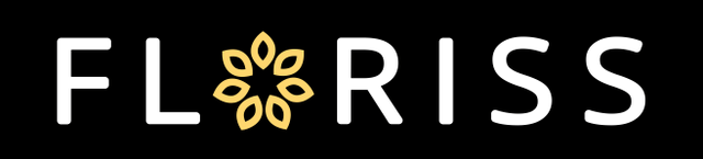 b2777990-d02f-496d-9029-5b1e197b8aa3.png