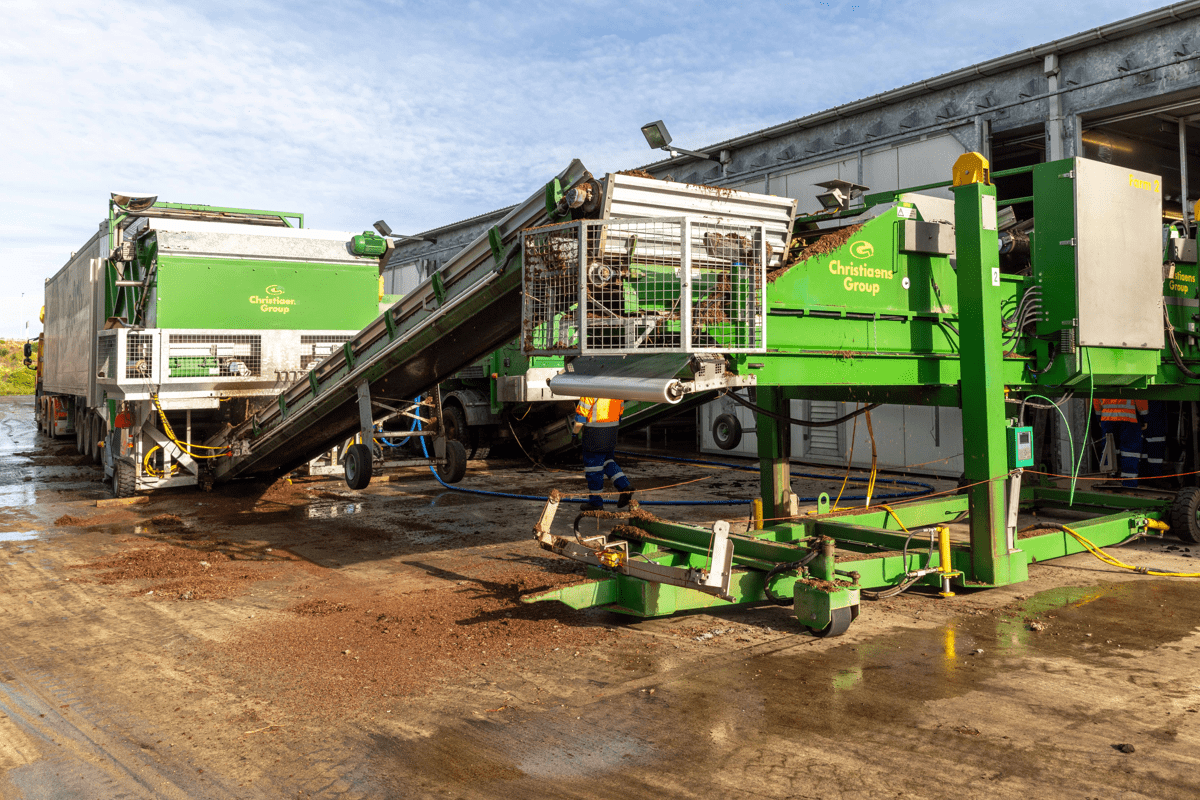 Production Meadow Mushrooms