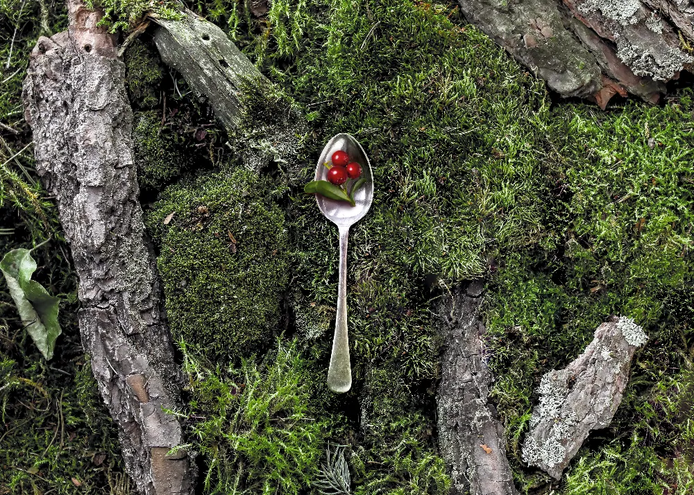 Polarica_spoon_w_lingonberries_RGB-1.webp