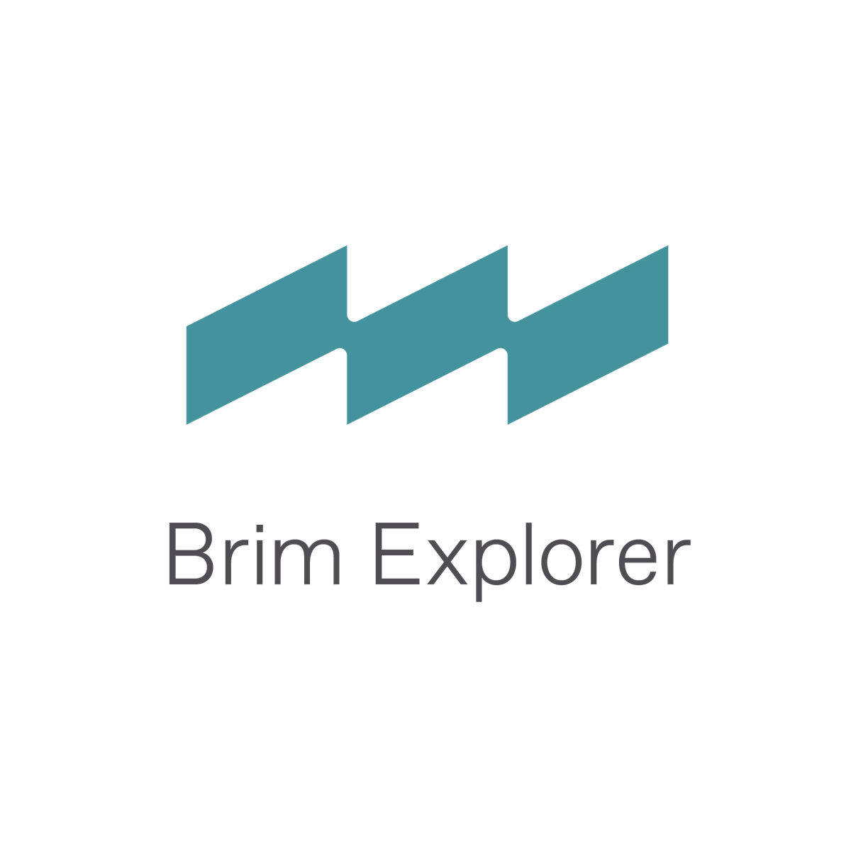 Logo Brim Explorer.png