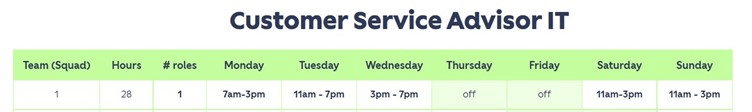 Customer Service Advisor IT (Updated).jpg