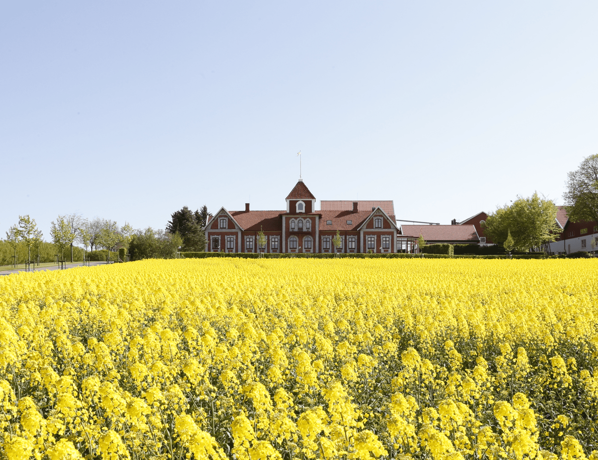 Banner liggande 2.JPG