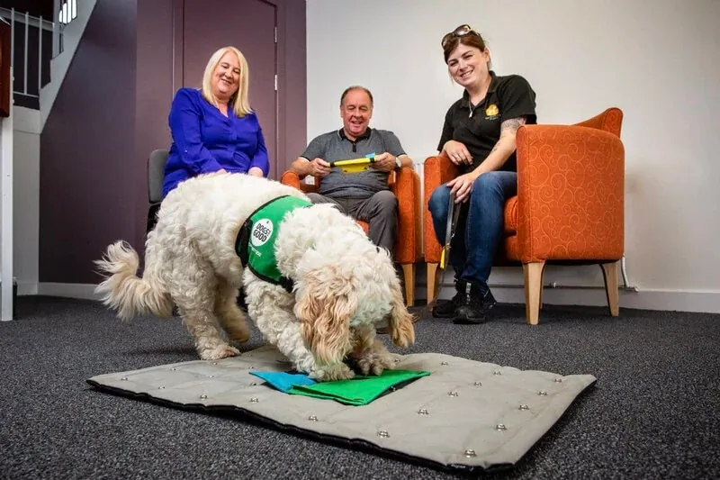 Three adults in chairs watching dog find treats in a snuffle mat