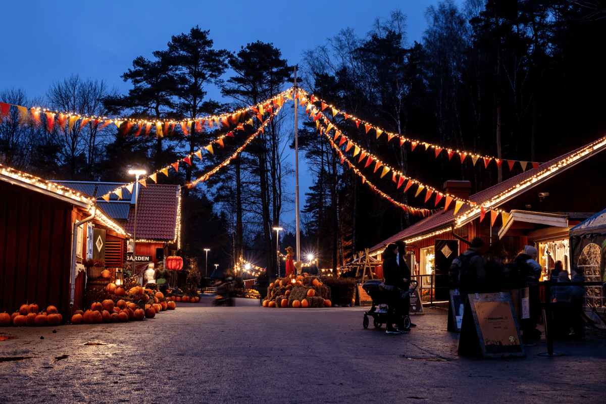Halloween-7897.jpg
