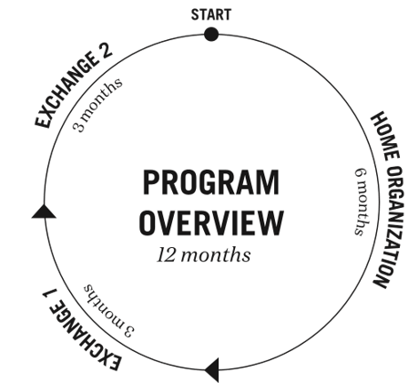 Program overview_small.png