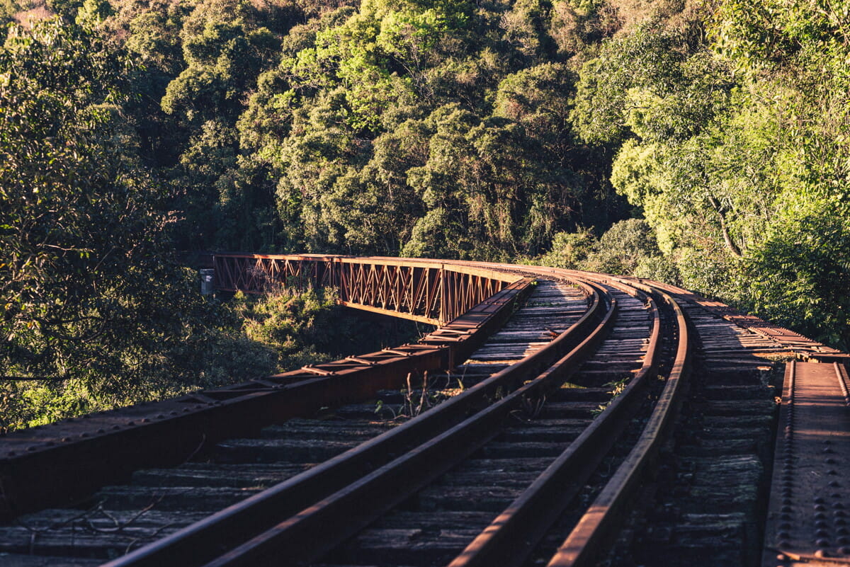 brown wooden rail road in between green trees during daytime.jpg