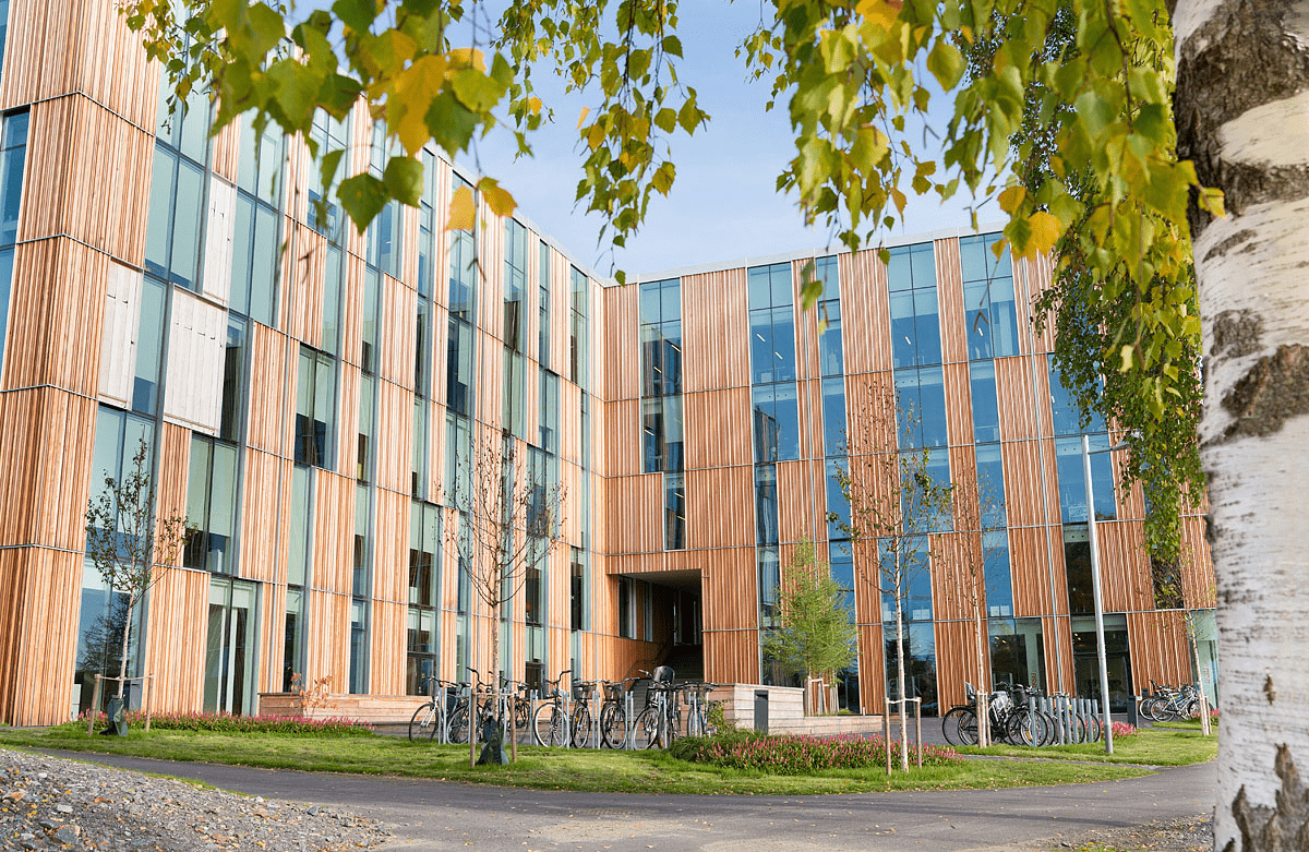 Umeå kontor.jpg