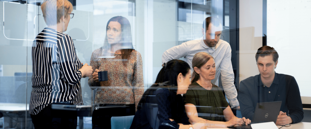 Financial Controller till NTM