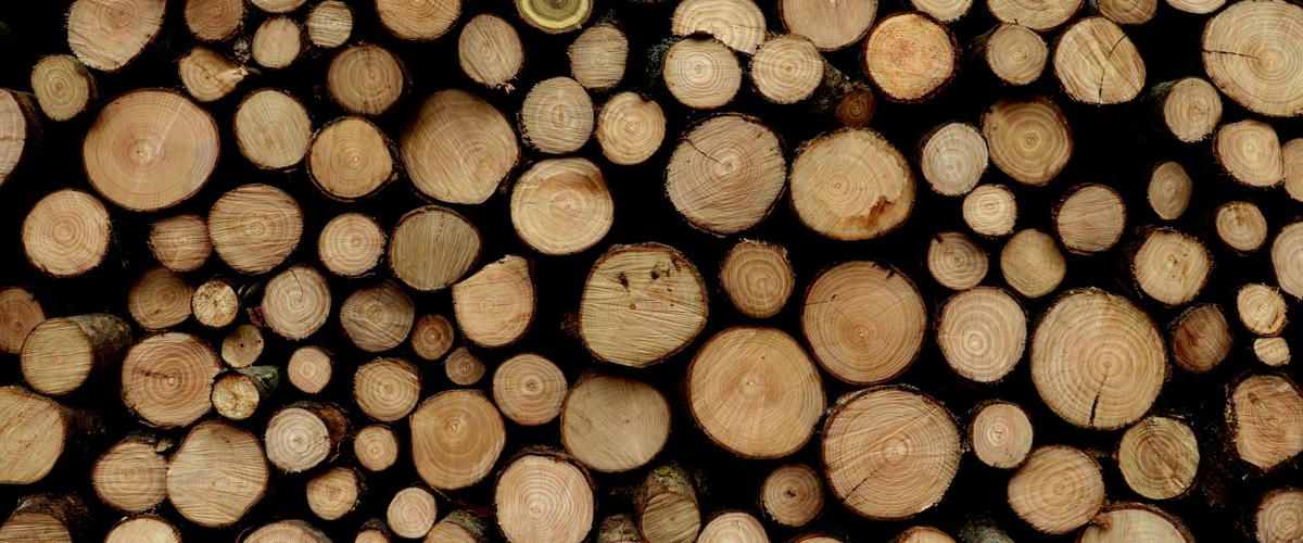 MAGASINIER-VENDEUR EN MENUISERIE (H/F/X)